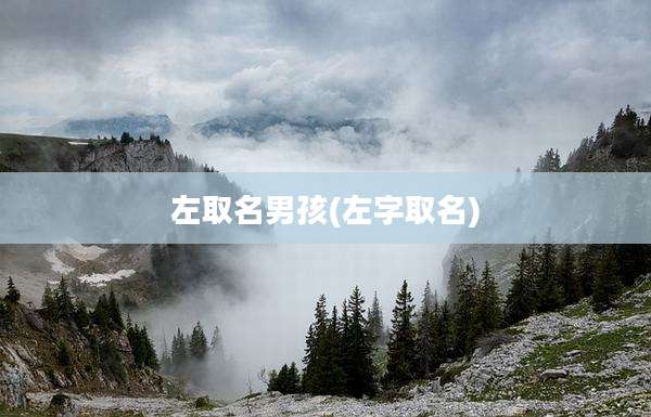 左取名男孩(左字取名)