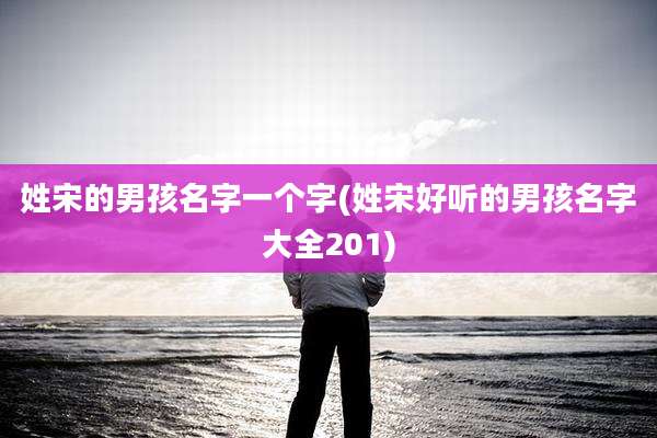 姓宋的男孩名字一个字(姓宋好听的男孩名字大全201)