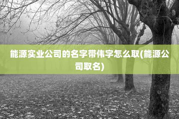 能源实业公司的名字带伟字怎么取(能源公司取名)