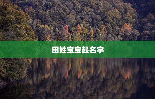田姓宝宝起名字