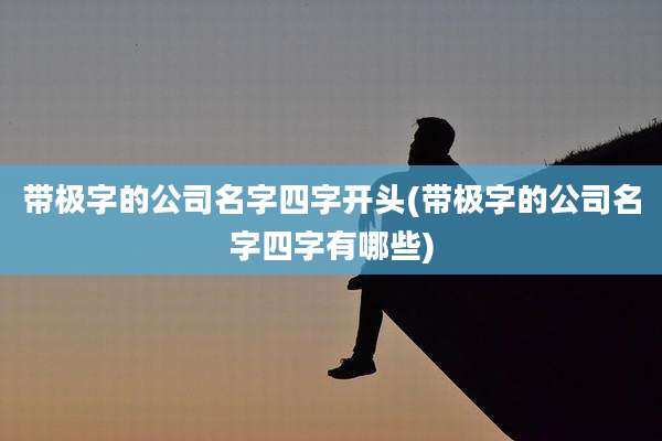 带极字的公司名字四字开头(带极字的公司名字四字有哪些)