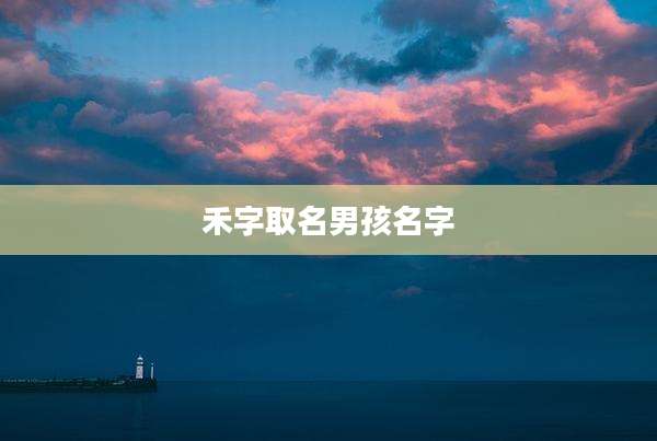 禾字取名男孩名字