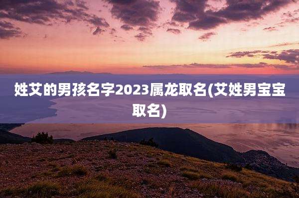 姓艾的男孩名字2023属龙取名(艾姓男宝宝取名)