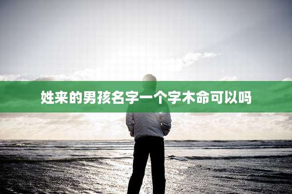 姓来的男孩名字一个字木命可以吗