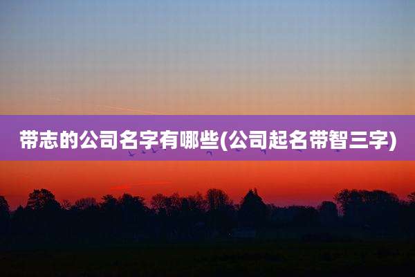 带志的公司名字有哪些(公司起名带智三字)