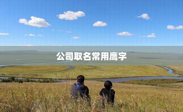 公司取名常用鹰字