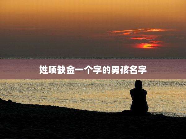 姓项缺金一个字的男孩名字