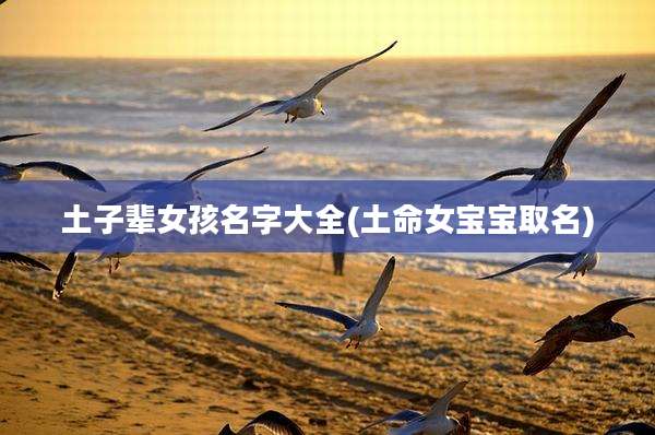 土子辈女孩名字大全(土命女宝宝取名)