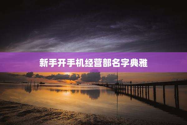 新手开手机经营部名字典雅