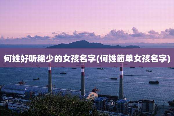 何姓好听稀少的女孩名字(何姓简单女孩名字)