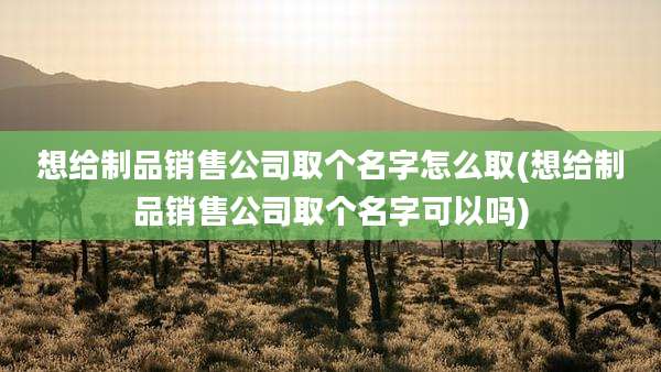 想给制品销售公司取个名字怎么取(想给制品销售公司取个名字可以吗)