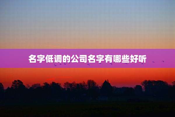 名字低调的公司名字有哪些好听
