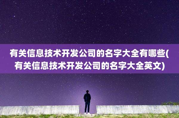 有关信息技术开发公司的名字大全有哪些(有关信息技术开发公司的名字大全英文)