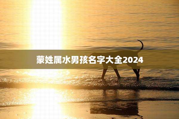 蒙姓属水男孩名字大全2024