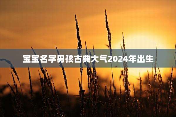 宝宝名字男孩古典大气2024年出生