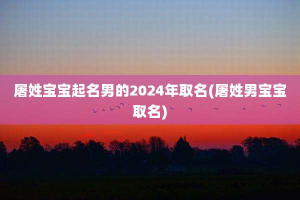 屠姓宝宝起名男的2024年取名(屠姓男宝宝取名)