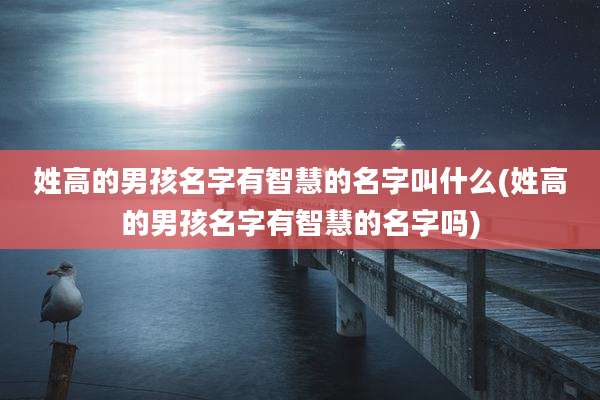 姓高的男孩名字有智慧的名字叫什么(姓高的男孩名字有智慧的名字吗)