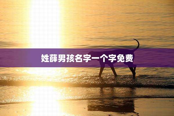 姓薛男孩名字一个字免费