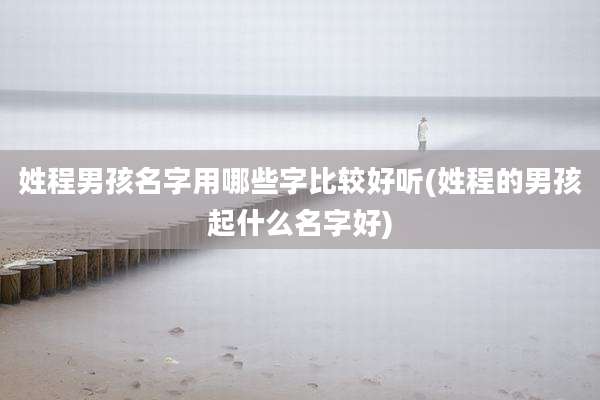 姓程男孩名字用哪些字比较好听(姓程的男孩起什么名字好)