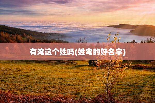 有湾这个姓吗(姓弯的好名字)