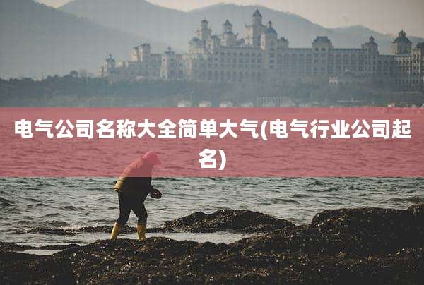 电气公司名称大全简单大气(电气行业公司起名)