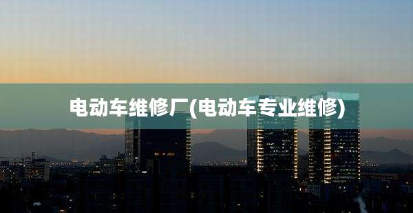 电动车维修厂(电动车专业维修)