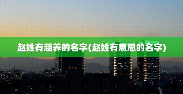 赵姓有涵养的名字(赵姓有意思的名字)