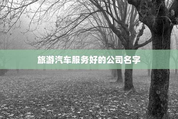 旅游汽车服务好的公司名字