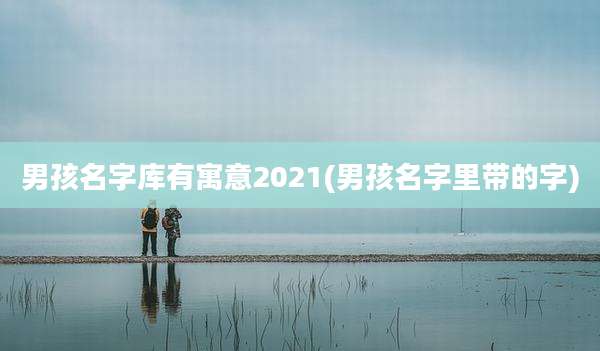 男孩名字库有寓意2021(男孩名字里带的字)