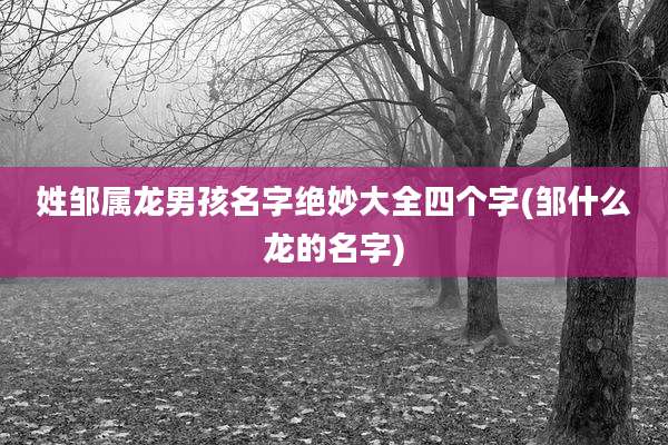 姓邹属龙男孩名字绝妙大全四个字(邹什么龙的名字)