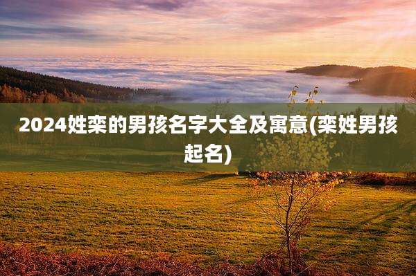 2024姓栾的男孩名字大全及寓意(栾姓男孩起名)