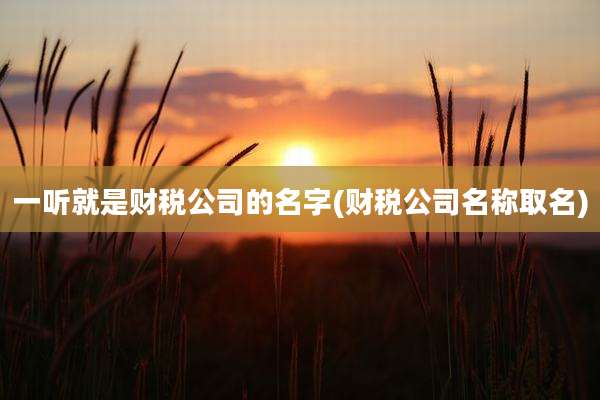 一听就是财税公司的名字(财税公司名称取名)
