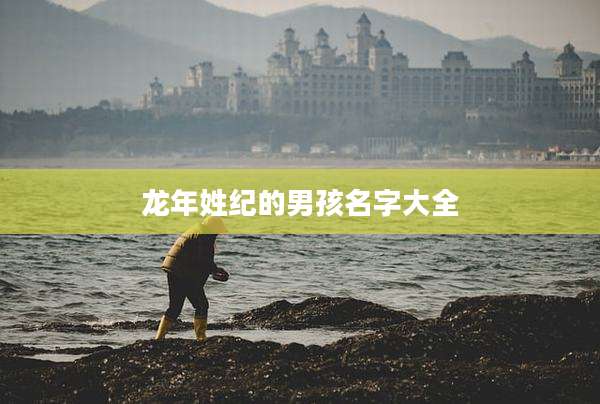龙年姓纪的男孩名字大全