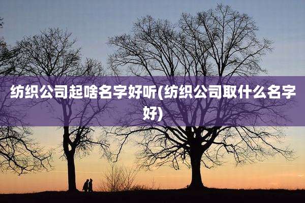 纺织公司起啥名字好听(纺织公司取什么名字好)