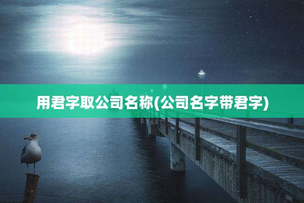 用君字取公司名称(公司名字带君字)
