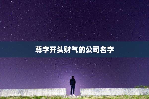 尊字开头财气的公司名字