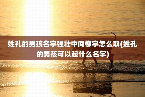 姓孔的男孩名字强壮中间柳字怎么取(姓孔的男孩可以起什么名字)
