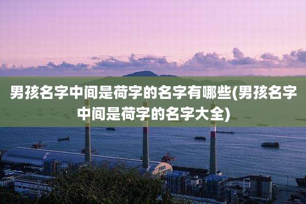 男孩名字中间是荷字的名字有哪些(男孩名字中间是荷字的名字大全)
