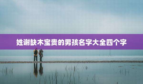 姓谢缺木宝贵的男孩名字大全四个字