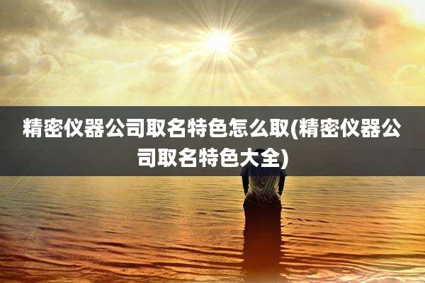 精密仪器公司取名特色怎么取(精密仪器公司取名特色大全)