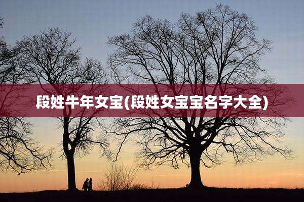 段姓牛年女宝(段姓女宝宝名字大全)