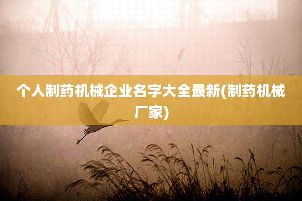 个人制药机械企业名字大全最新(制药机械厂家)