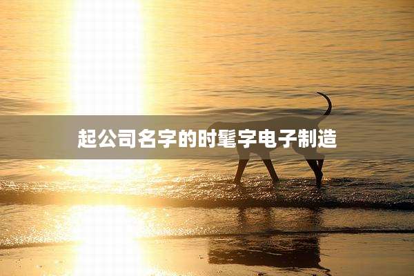 起公司名字的时髦字电子制造