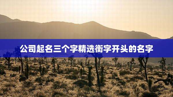 公司起名三个字精选衡字开头的名字