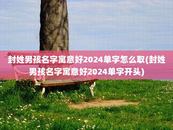 封姓男孩名字寓意好2024单字怎么取(封姓男孩名字寓意好2024单字开头)