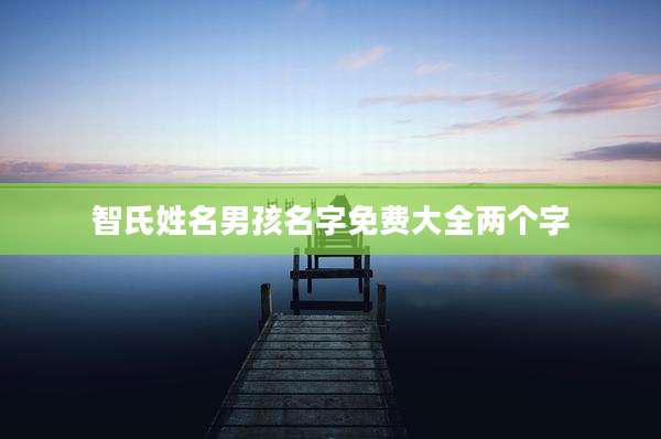 智氏姓名男孩名字免费大全两个字
