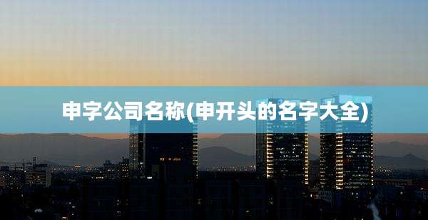 申字公司名称(申开头的名字大全)