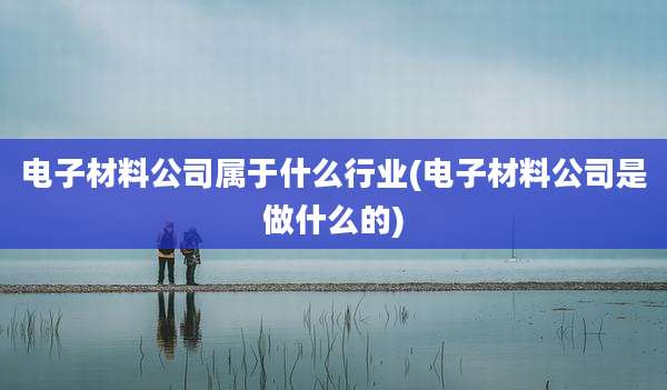电子材料公司属于什么行业(电子材料公司是做什么的)