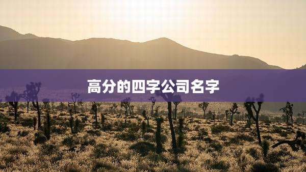 高分的四字公司名字