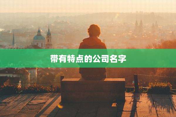 带有特点的公司名字